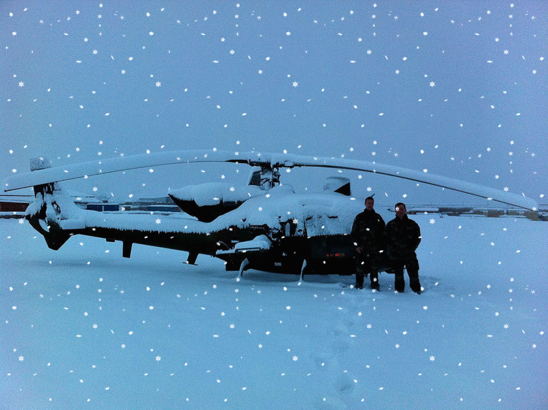 French Snow Gazelle (snow effect)