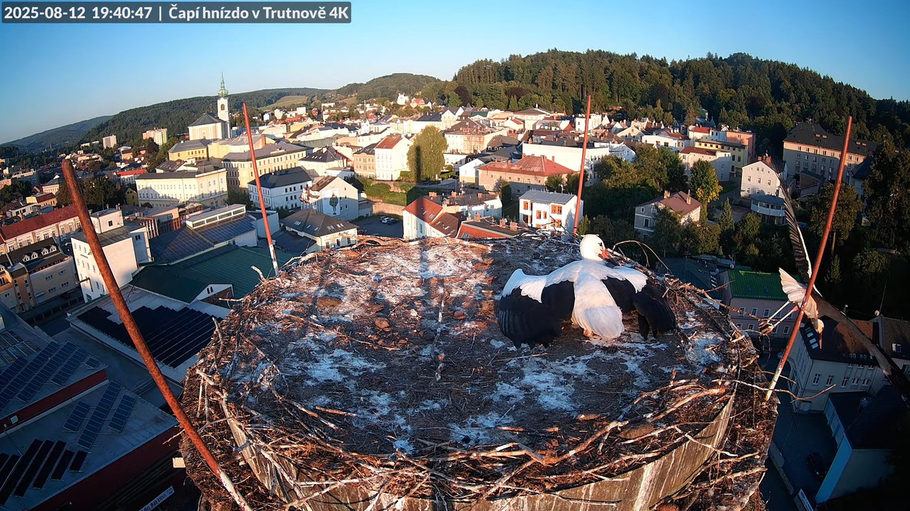 Tiešraide no stārķa ligzdas uz alus darītavas skursteņa Trutnovā 12-31-28 screenshot