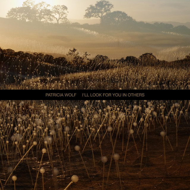 Patricia Wolf • I'll Look For You In Others (2022) .flac  48.0 kHz 24 bits