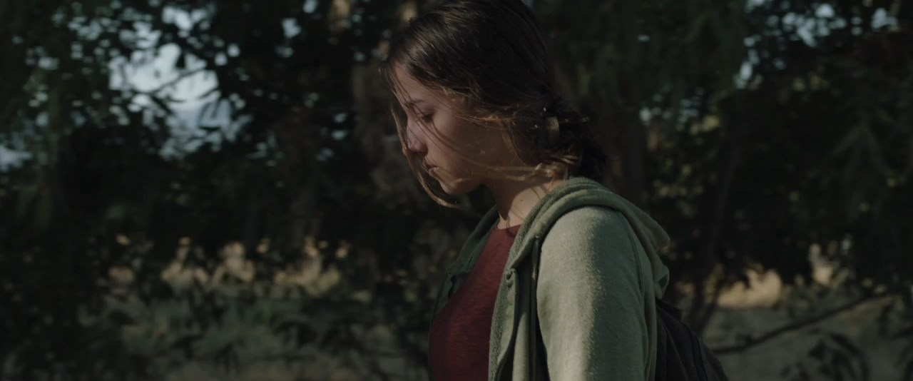 Twin Flower Fiore Gemello 2018 720p WEB DL x264 AC3 DEEP