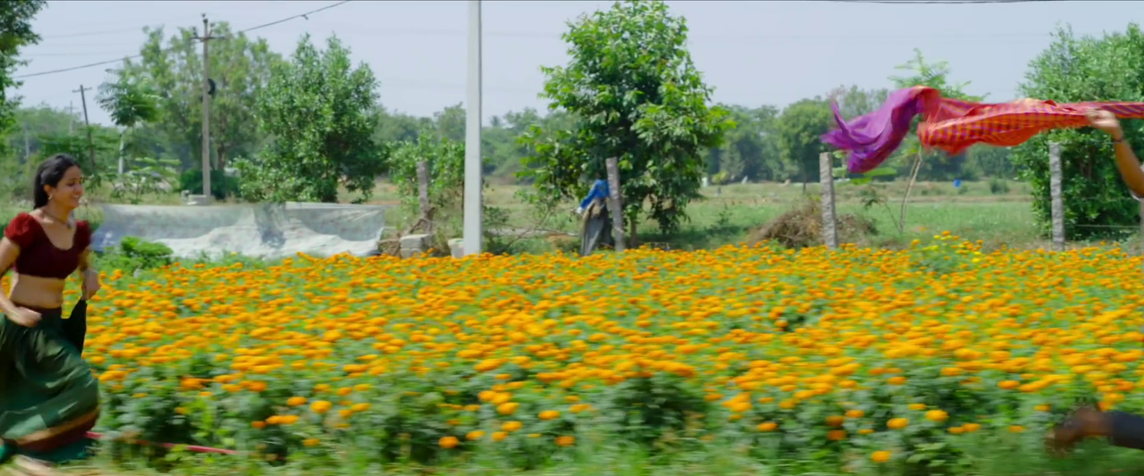 vlcsnap-2024-01-13-14h43m27s591