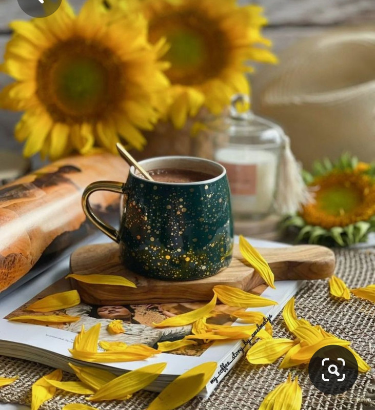 Screenshot_20230705_224709_Pinterest