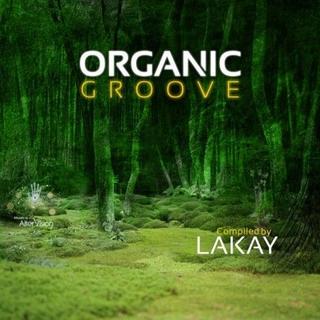 Organic Groove (2019) .mp3 - 320 kbps