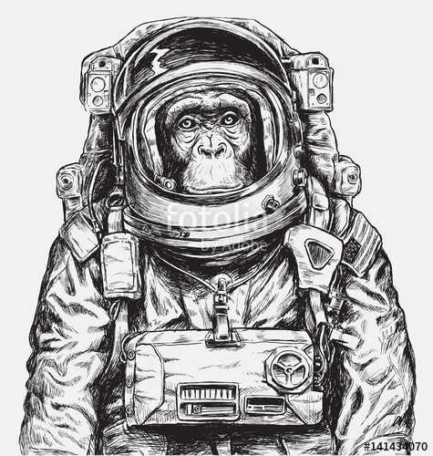 500_F_141434070_x1mQPxoJedXuQsvKdyZs6LFAmStkhD1U[1]