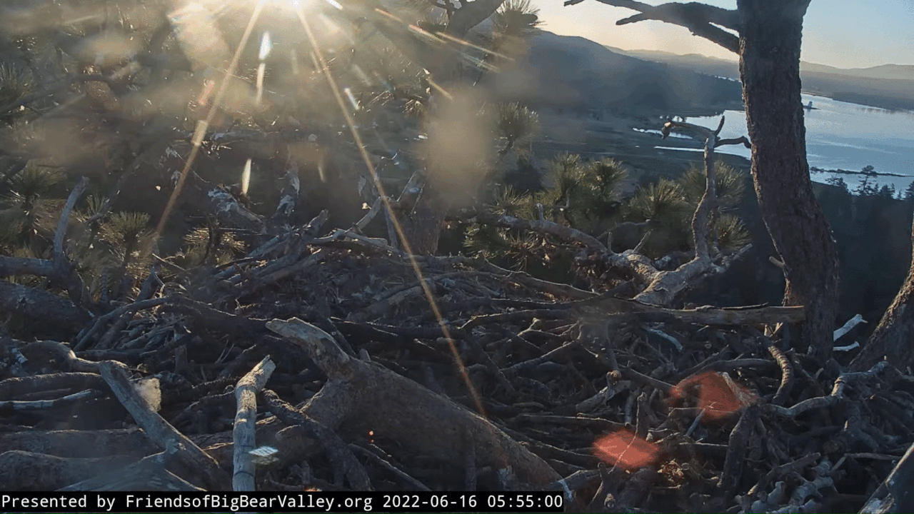 Webp.net-gifmaker (6)