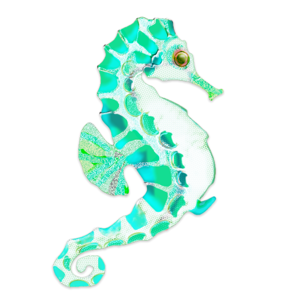 Sea-Horse.png