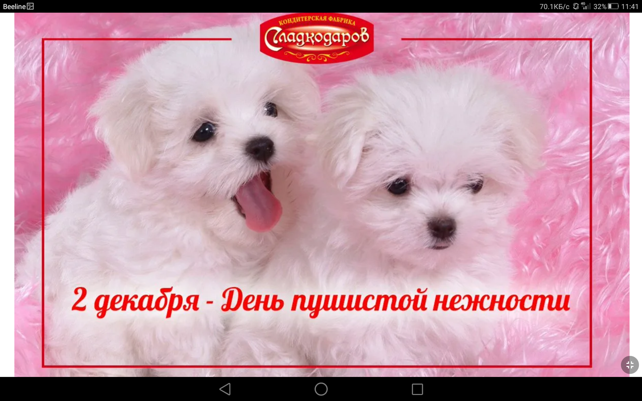 Screenshot_2021-12-02-11-41-32