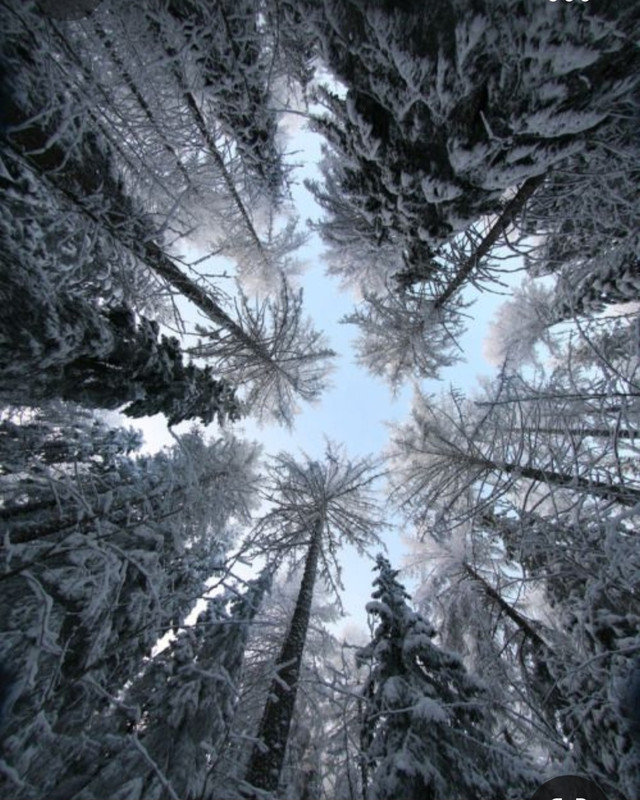 Screenshot_20231006_214508_Pinterest