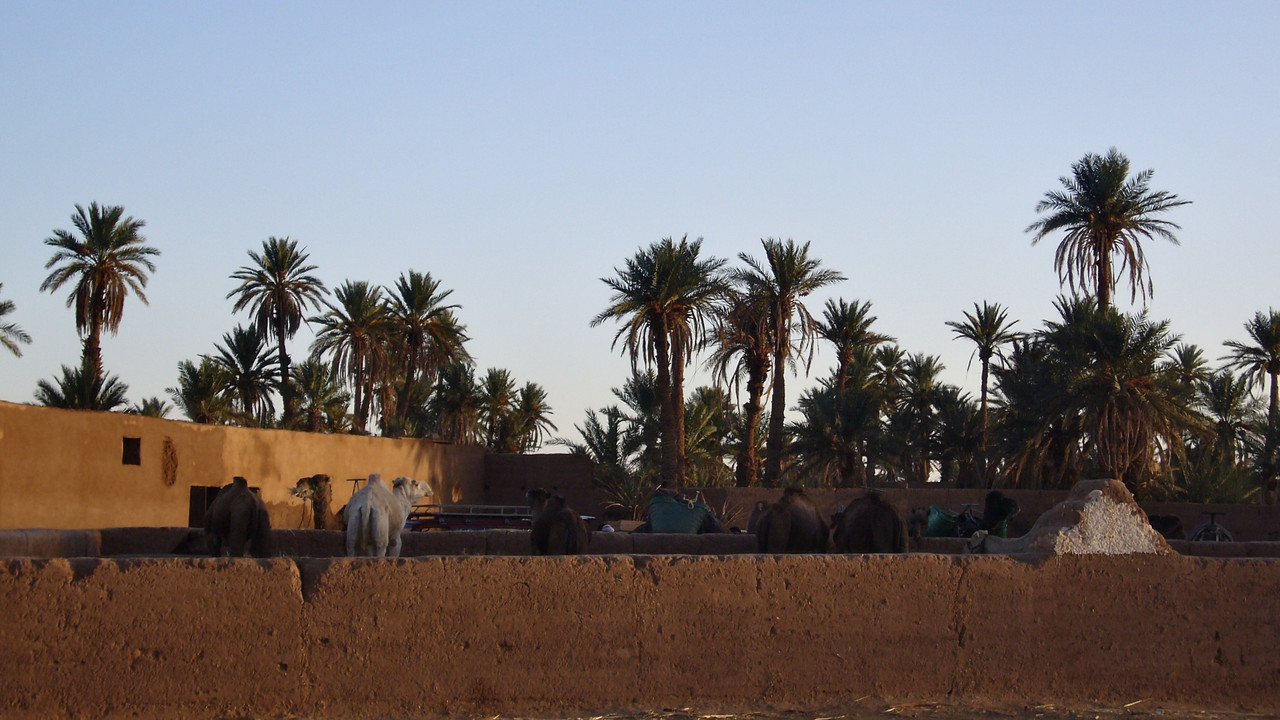 Mhamid el Ghizlane, en la frontera del Sáhara - El Valle del Drâa, la gran arteria del sur de Marruecos (43)