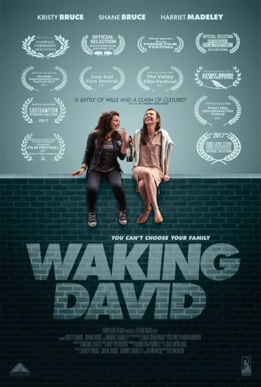 Budząc Davida / Waking David (2016) PL.WEB-DL.XviD-GR4PE | Lektor PL