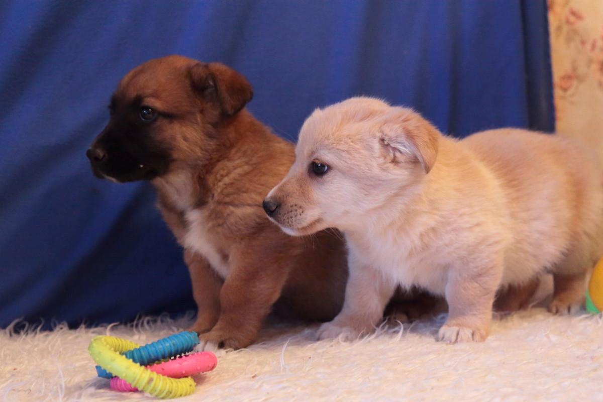 4FC2FAED-9D02-4069-988D-C458EDC015C6