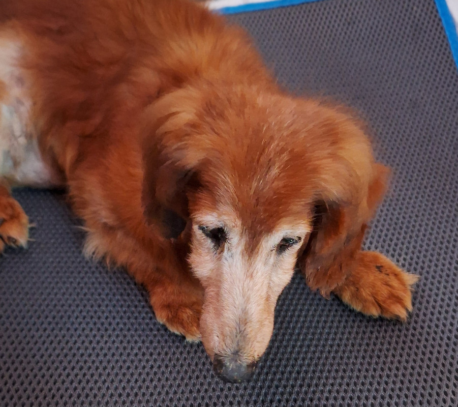 [Image: 20250518-204609.jpg]