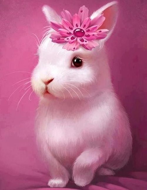 pinkbunny.jpg
