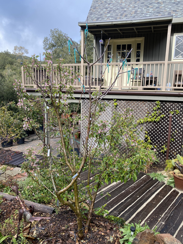 BDC313BD-6C37-4E1F-8CAD-FBD58327906E