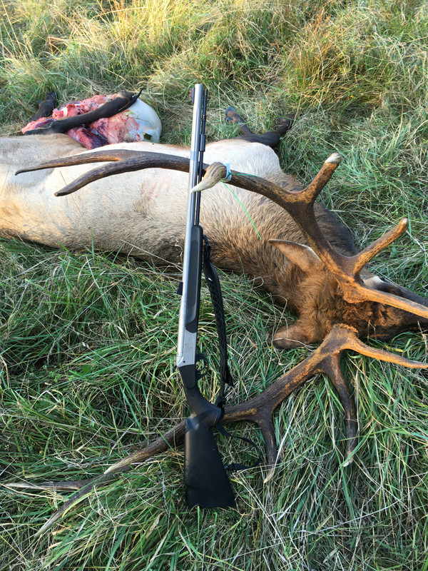 A92C1273-73C3-4BA7-AD5F-A8158368677F