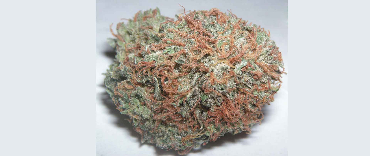 Detenzione a fine di spaccio di sostanze stupefacenti di differente tipologia