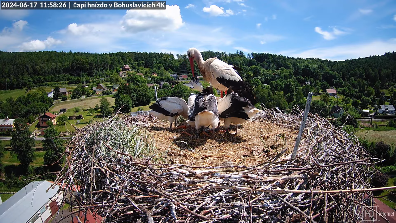 Tiešraidē no uzņēmuma KARA stārķa skursteņa Bohuslavicē pie Trutnovas 13-1-46 screenshot