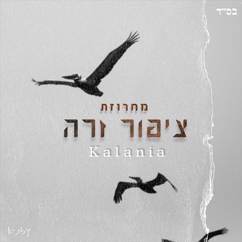 תמונה