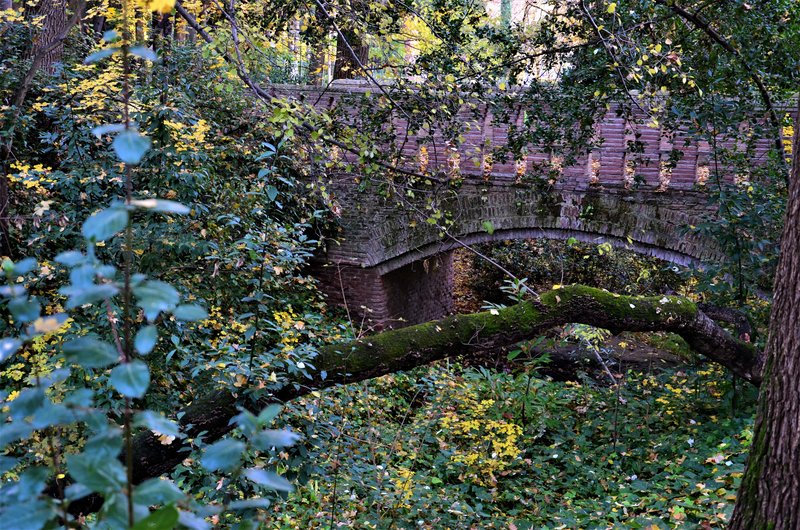 PARQUE EL CAPRICHO-2013-2022-MADRID - Paseando por España-1991/2016 (87)