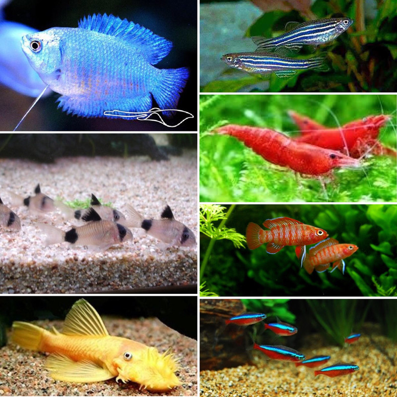 DE6C670F-31F3-45BE-B83B-C2591CAA6C12