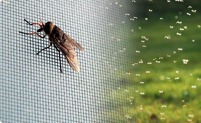 Прикрепленная картинка