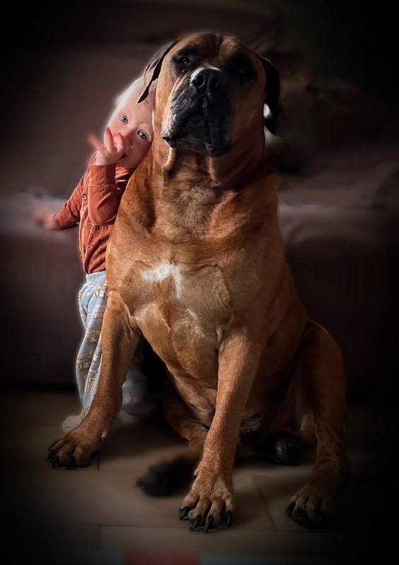 kAN_t5gYGyZo4bgQBgVYqmBx_P9SlI-Bdt4Zvoa-Pqj9H4JePHQE2KE7djIrazEbnA9t_ci5GowbyL1VPMrLyP5j