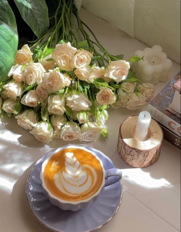 Screenshot_20230911_222726_Pinterest