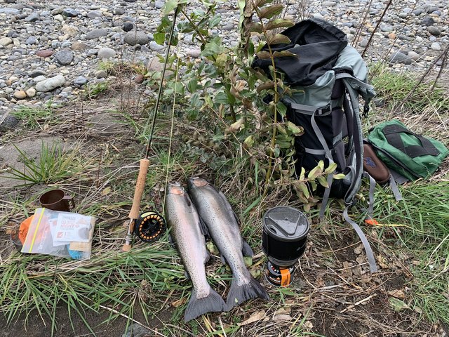 F6B320F6-8798-4668-A5D8-5375BE84743F