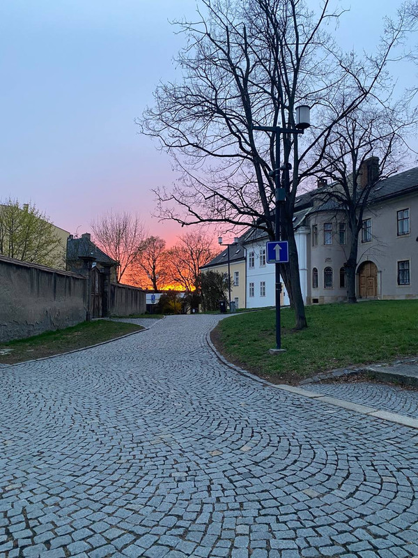 photo 2026 04 01 19 32 38