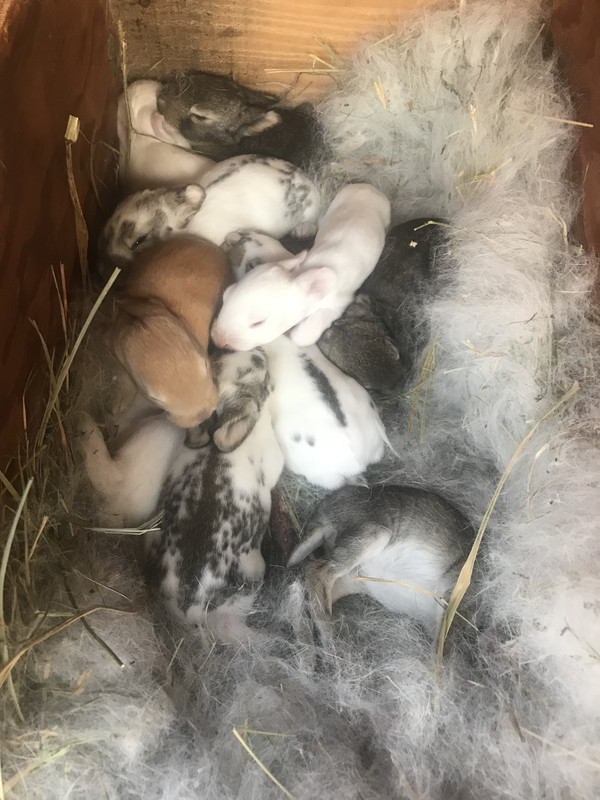 B7DF6A08-86B1-4FF0-B1AB-AB95DECC9FE2