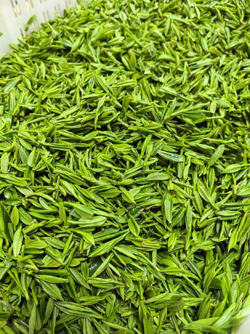 Susong Xiangya Tea: The Fragrant Gem of Anhui’s Tea Heritage