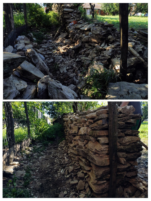 20250831-041344-COLLAGE.jpg