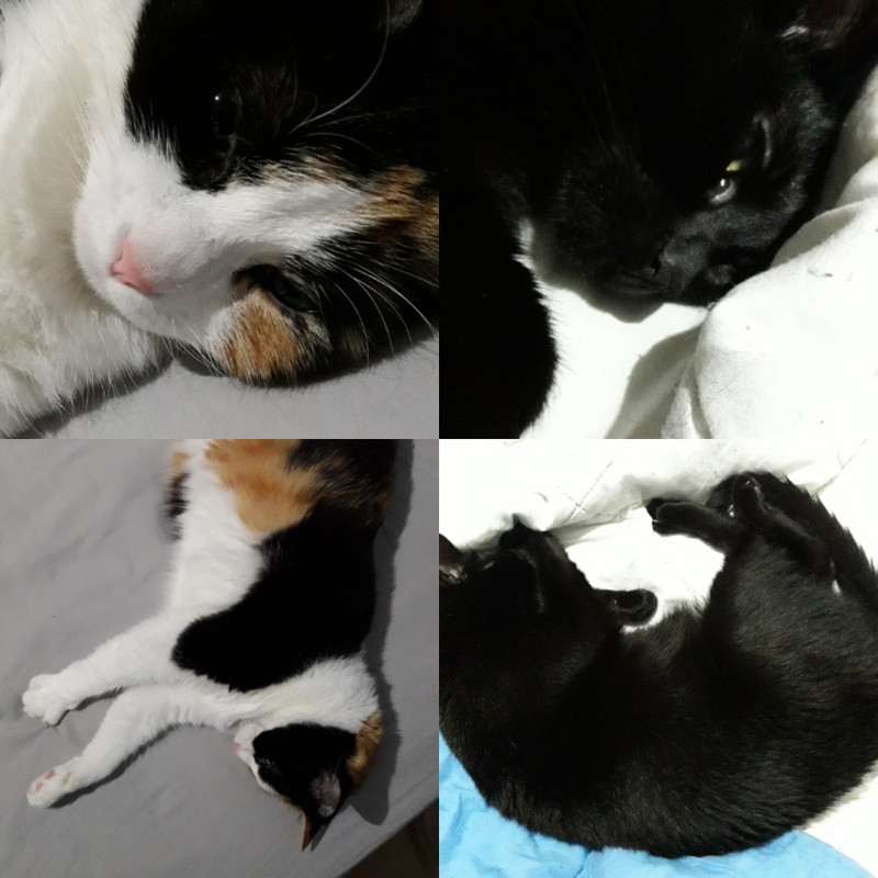 IMG_20190826_220338_539