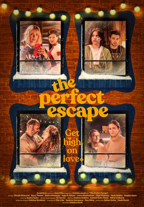 Uciekając przed miłością / The Perfect Escape (2023) MULTi.1080p.SKST.WEB-DL.H.264-OzW / Lektor i Napisy PL