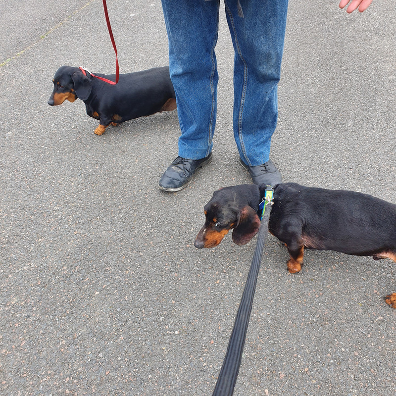 [Image: 20210310-150905.jpg]