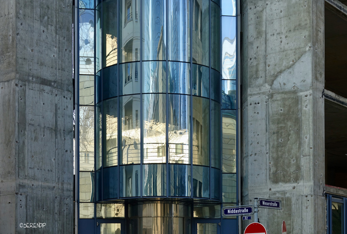 DSC09559b.jpg