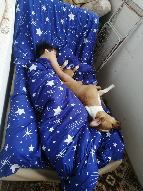 AD872DED-581E-4E92-81E9-3DBACC2F16B9