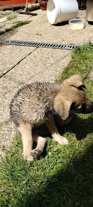 IMG-776a35bc2e21768e9e002bd1201b7ec0-V