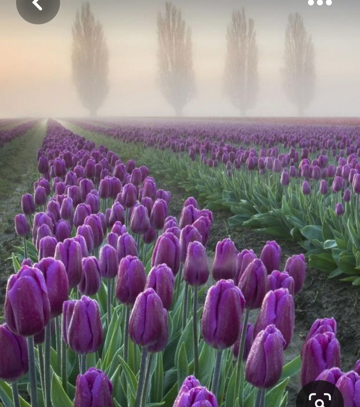 Screenshot_20230614_004610_Pinterest