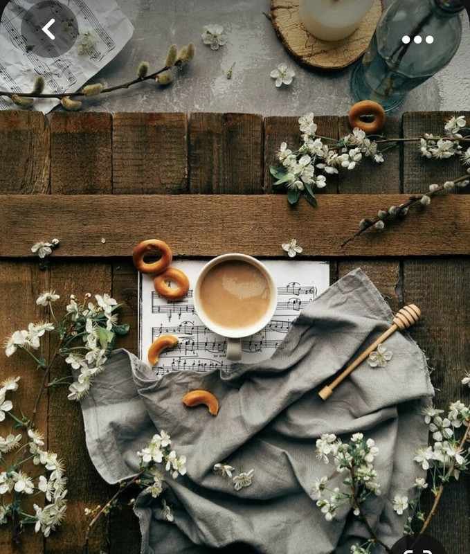 Screenshot_20231015_214009_Pinterest