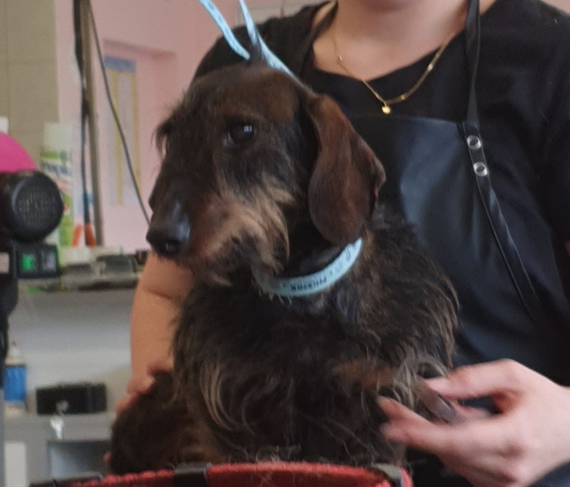 [Image: 20220512-165242.jpg]