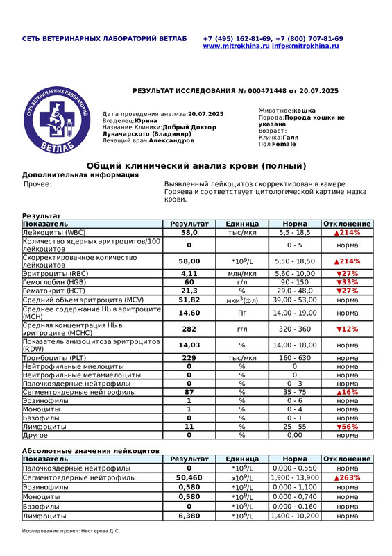 Общий клинический анализ крови полный (Диагностическое исследование 000471448 от 20.07.2025 19 57 35