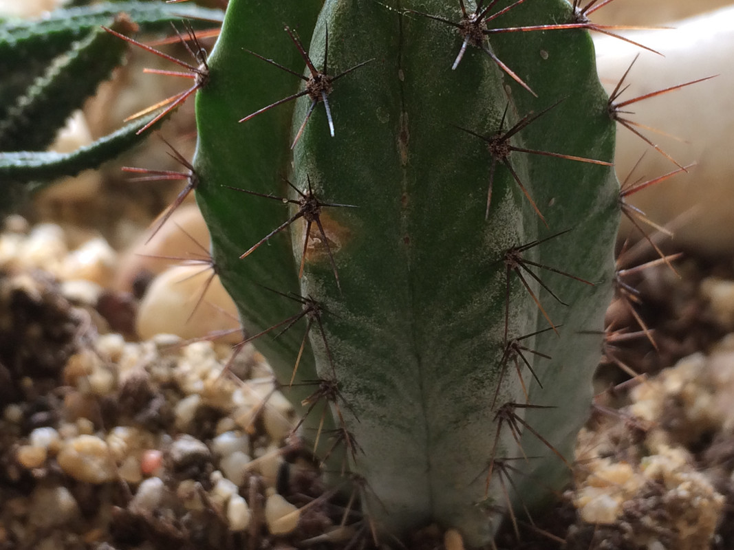 FB19ECAA-513B-4481-8E94-AC6E87314405