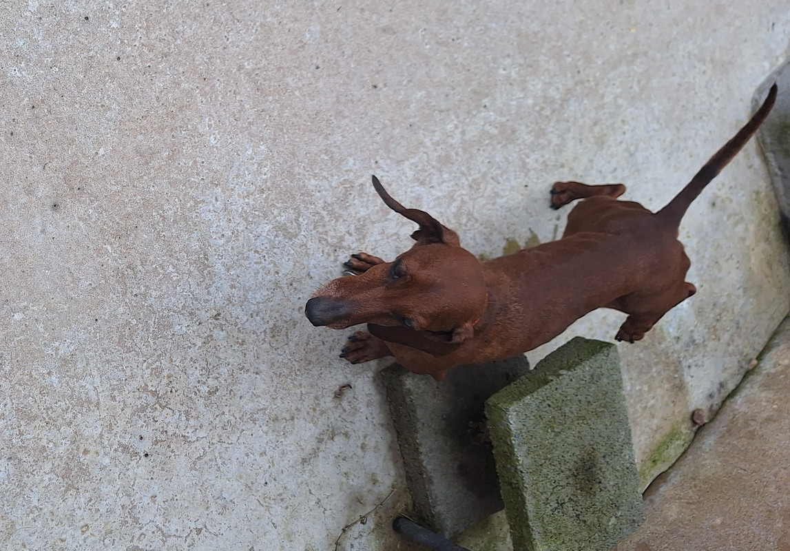 [Image: 20250504-114938.jpg]