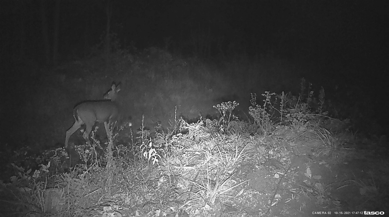 8C0F7B01-FFD6-4AE3-83B3-0806F11F9BFE