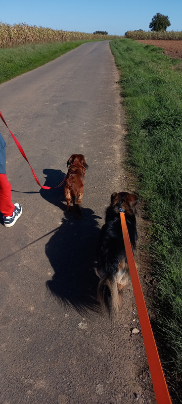 [Image: 1000026829.jpg]