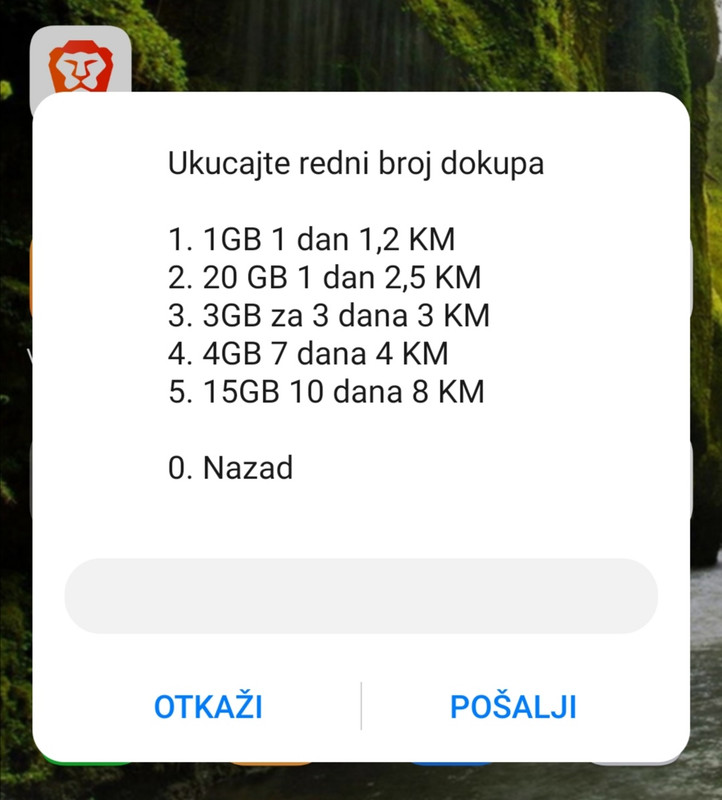 slika