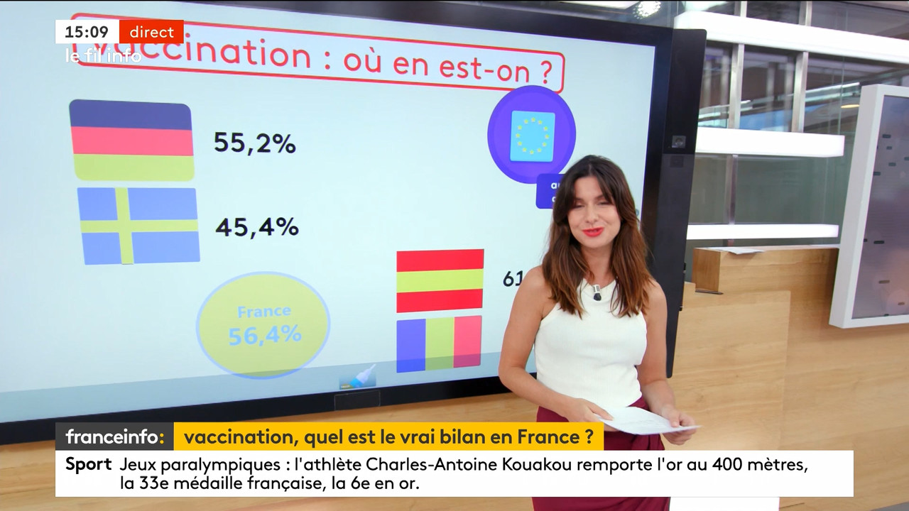 08.31 - 12.59.00 - Le 14h-17h. Au sommaire   Vrai ou fake. - francein..._001.ts_snapshot_00.09.33.00
