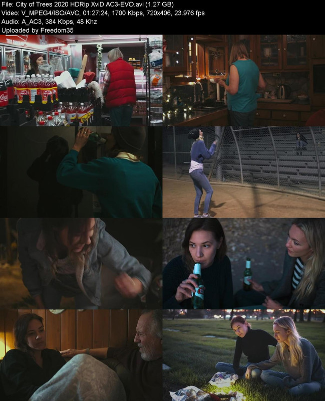 City-of-Trees-2020-HDRip-Xvi-D-AC3-EVO.j