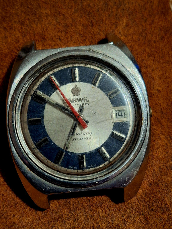 20241119_201502